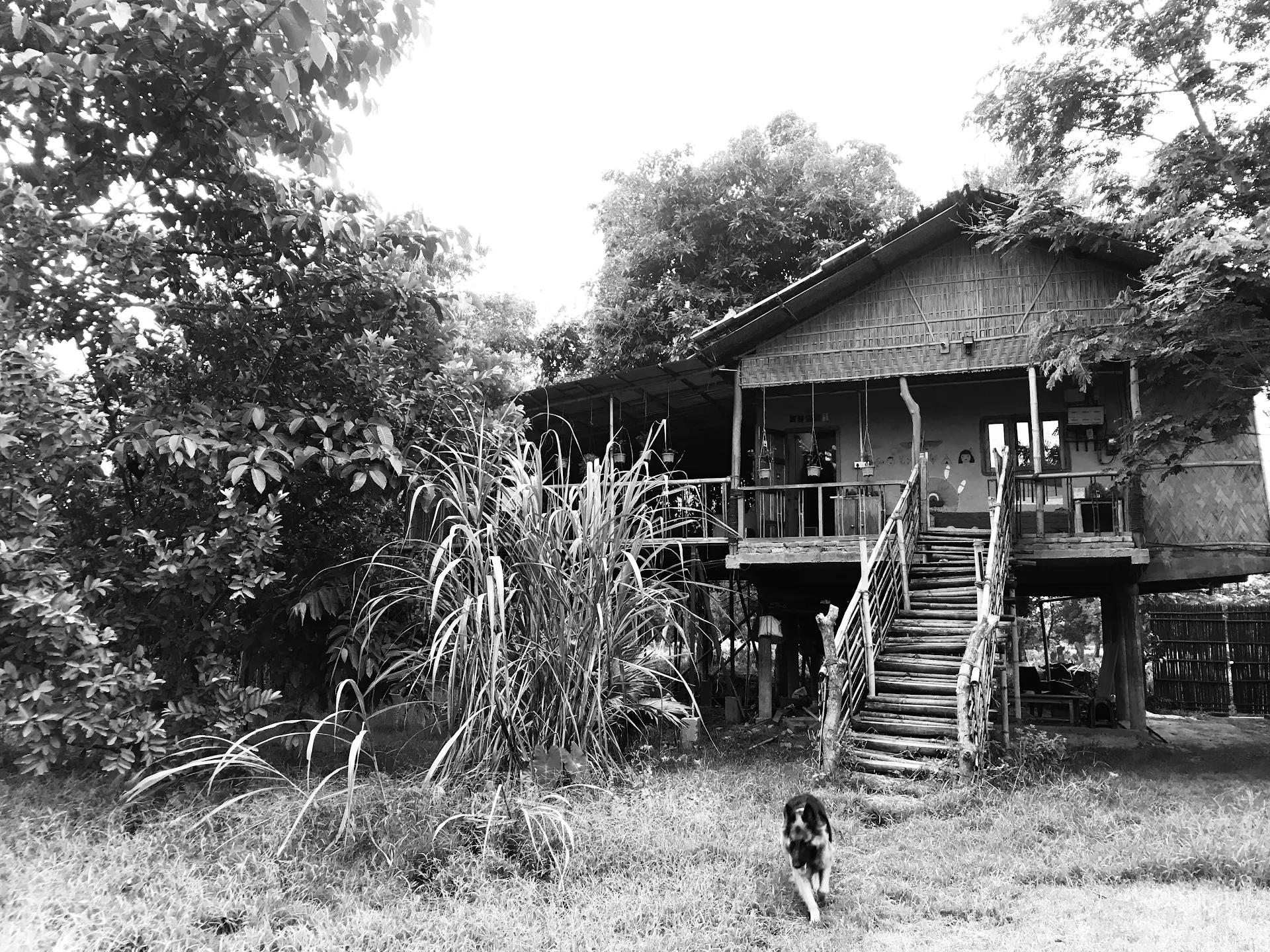 Kaziranga Sol Village lodge