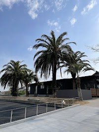 犬カフェ カタノダプラス