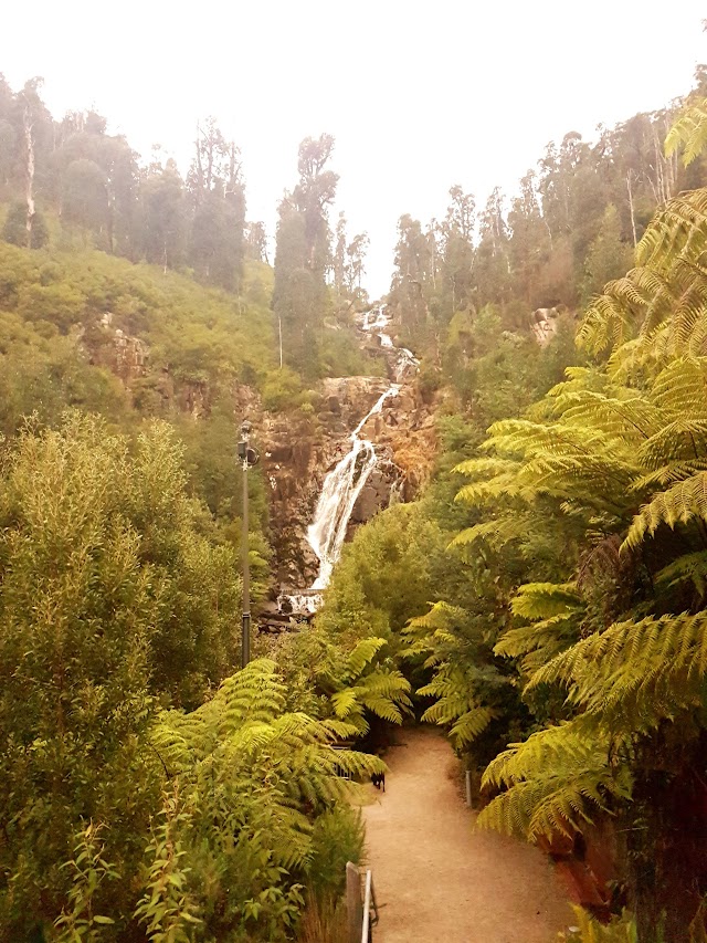 Steavenson Falls