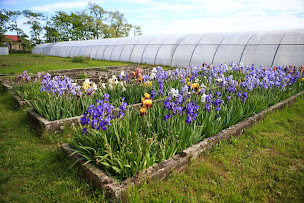 Photo n°7 de Ferme Saint-André - Adèle de Glaubitz à Cernay (Maraîcher)