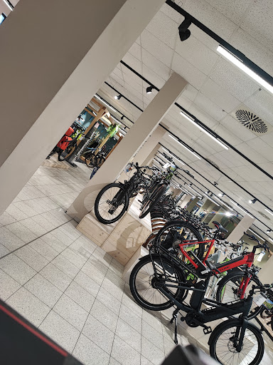 CUBE Store Potsdam - Thumbnail