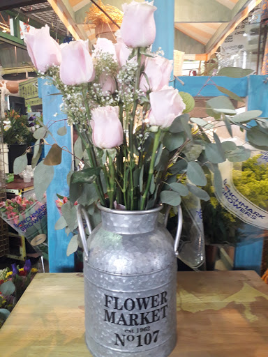 Isa Flowers - Visual