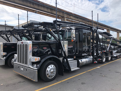 Rush Logistics - Visual