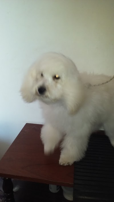 Photos of Muky