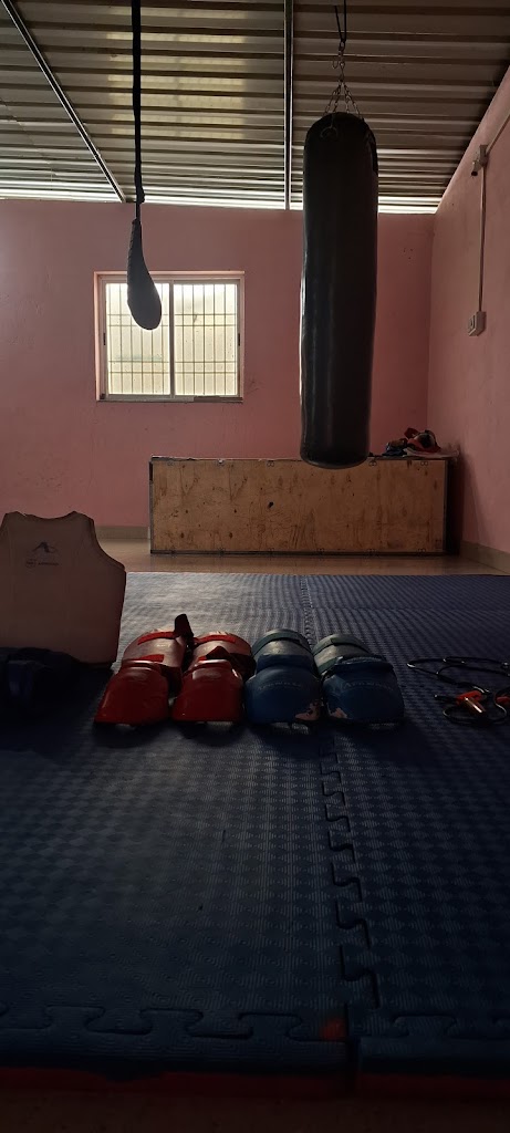 The Cobra Karate Academy