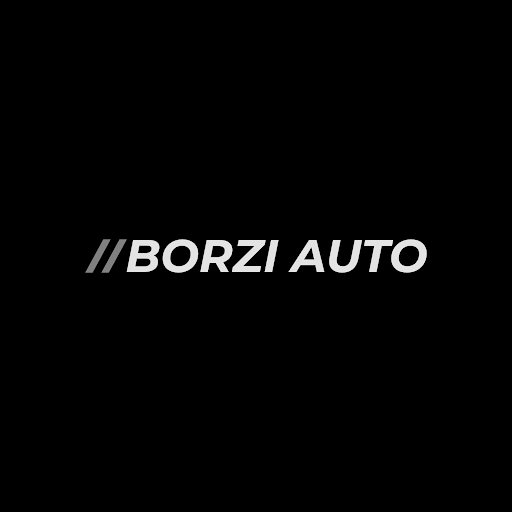 BORZI AUTO - Visual