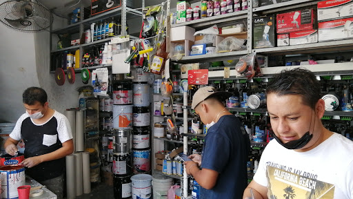 Venta de Pinturas y Complementos Ms