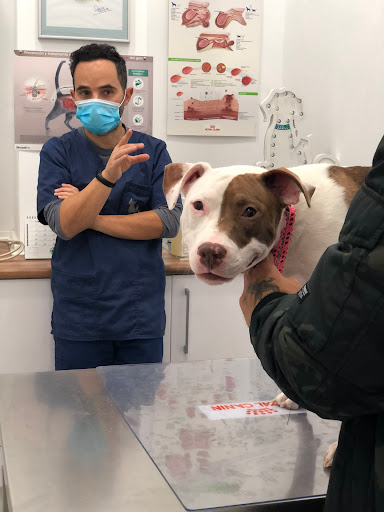 Clínica Veterinaria Alguer