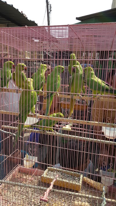 Photos of Al-Ghazil Market