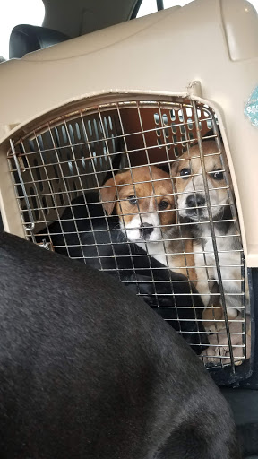 Bertie County Humane Society - Thumbnail