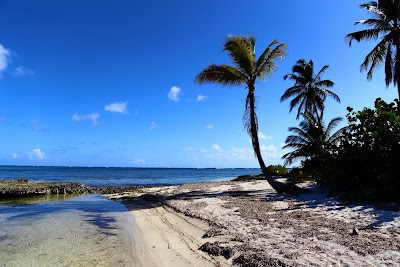 Photos of Dolphin Island Park