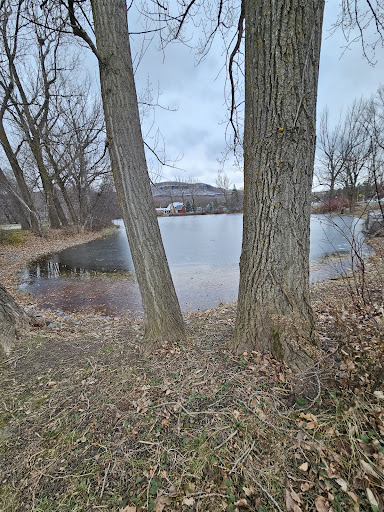 Parc Harvey - Visual