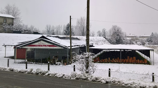 I fiori di Nonna Anna - Thumbnail