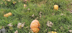 Photo n°19 de Les Hauts de Grazac à Grazac (Maison de vacances)