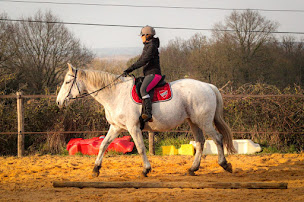 Photo n°17 de Les sabots du Lin à Saint-Laurent-de-Lin (Centre équestre)