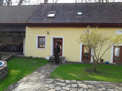 Photos of Penzion U star&yacute;ho dubu