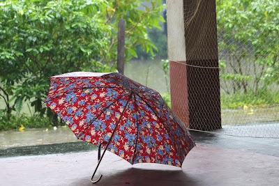 Photos of পশু হাসপাতাল