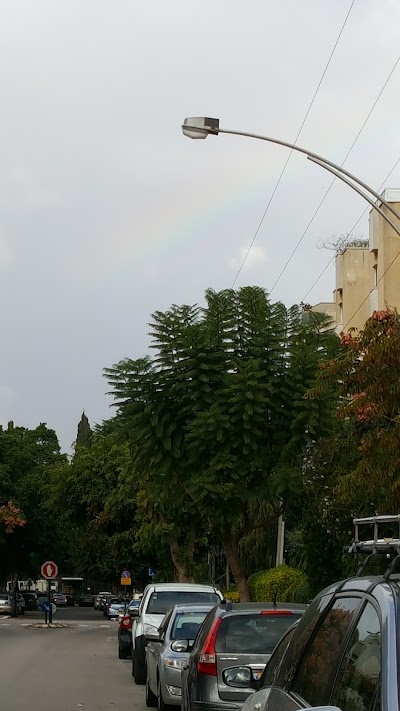 Photos of בית כנסת שבטי ישראל
