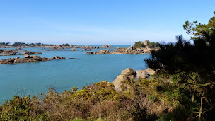 Photo n°33 de Au Gîte du Bois d'Amour des vacances de rêve au calme à Plourivo (Gîte)