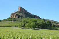 Docteur Augustin Le Viguelloux - Chirurgien Orthopédiste à Mâcon