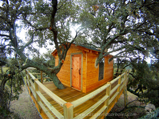 Casas en los Árboles - Thumbnail