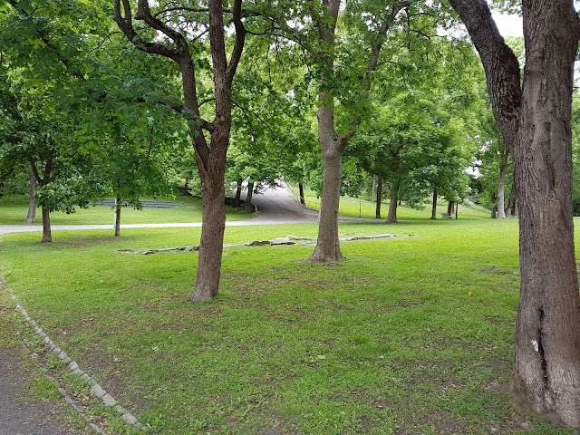 Vartiovuorenmäki