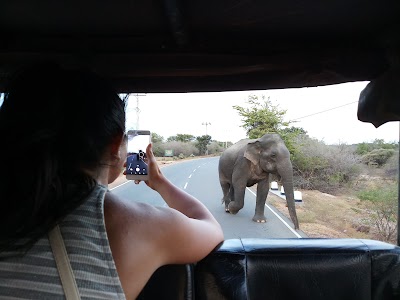 Photos of Sri Lankan Safest Driver (Tour Operator)