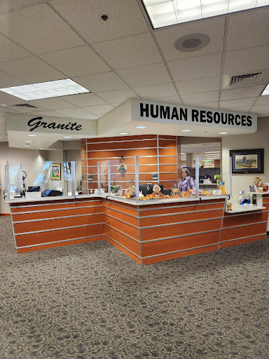 Human Resources GSD - Visual