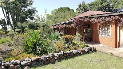 Photos of Mara West Camp