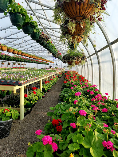 Callaway Fields LLC - Thumbnail