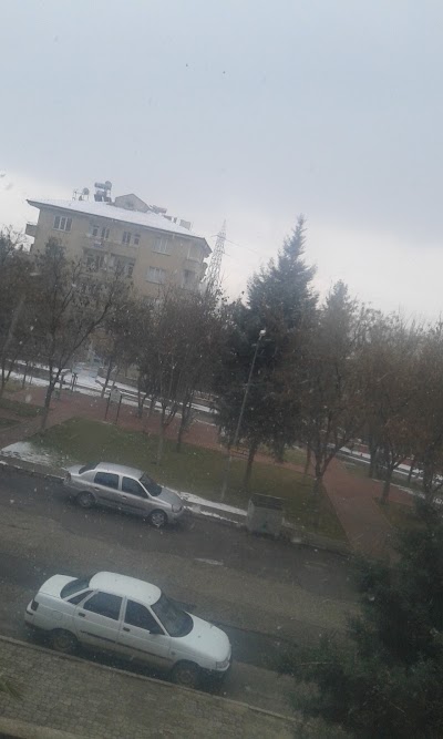 Photos of Fatih Sultn Mehmet Parkı