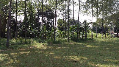 Photos of Lapangan Bola PLN
