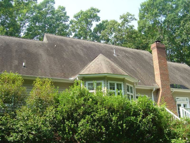 Photo of Palmetto Pressure Clean Inc in  - Best Pressure Washing Service near me.