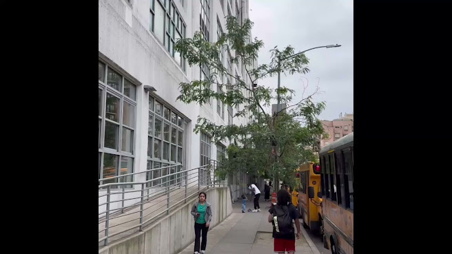 Interwoven Design Group by null