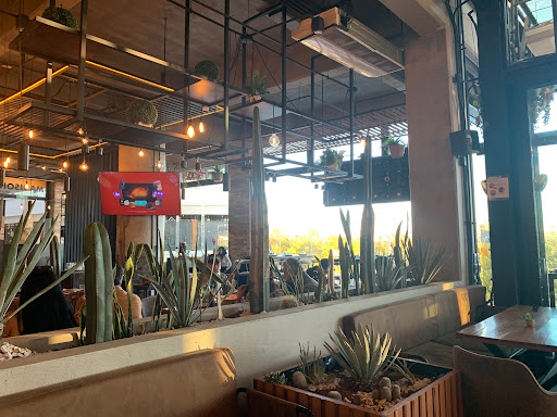Madison Grill Puebla - Thumbnail