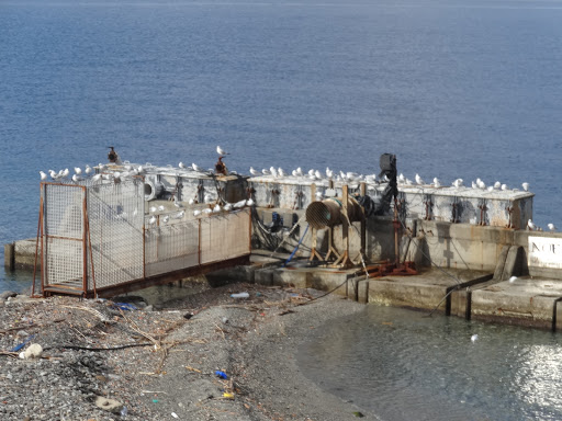 Noel - Natural Ocean Engineering Laboratory - Thumbnail