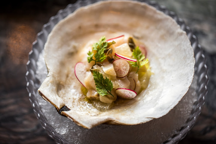 The Tusk Bar by null