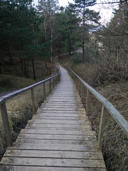 Nemirsetos paplūdimys