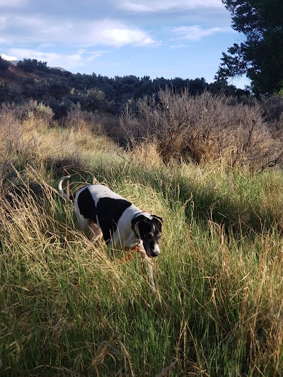 Ambrose Carson River Natural Area