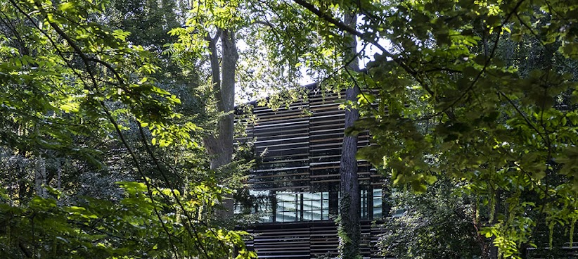 Albert-Kahn Museum and Garden by null