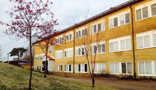 Hedlundaskolan - Visual