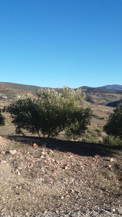 Photos of Rampoint