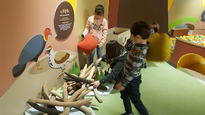 Photos of 경기북부어린이박물관