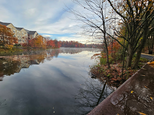 Kingstowne Lake Logo