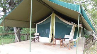 Photos of Diani Tours & Safaris