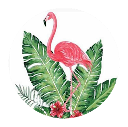 Photo n°10 de La friperie du centre à Frontignan (Bazar)