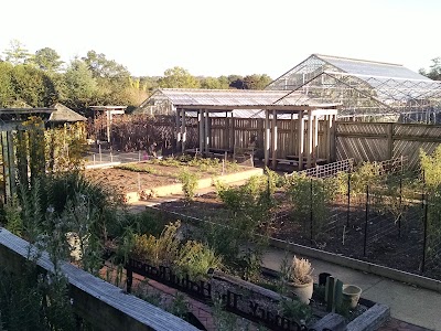 Bruno Vegetable Garden