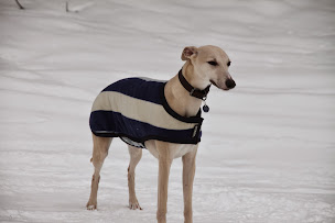 Photo n°6 de Clinique vétérinaire de Chailly-en-Bière à Chailly-en-Bière (Clinique vétérinaire)