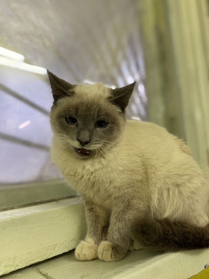 Ветеринарный кабинет ВетАмика