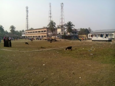 university